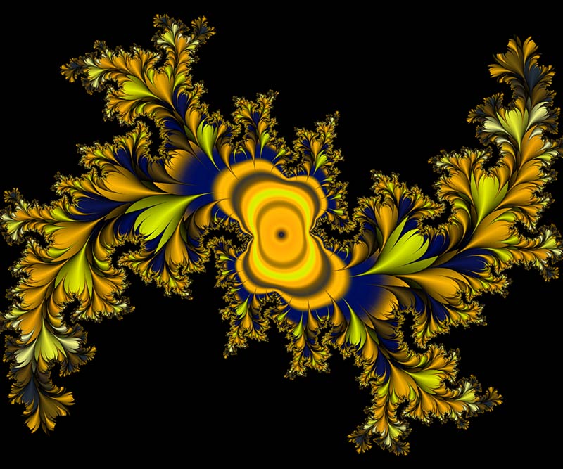 Yellow Feathers Fractal